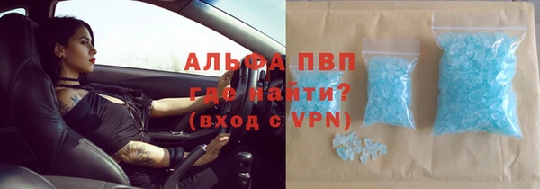 ГАЛЛЮЦИНОГЕННЫЕ ГРИБЫ Баксан