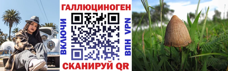 kraken ТОР  купить  сайты  Богучар  Псилоцибиновые грибы GOLDEN TEACHER 